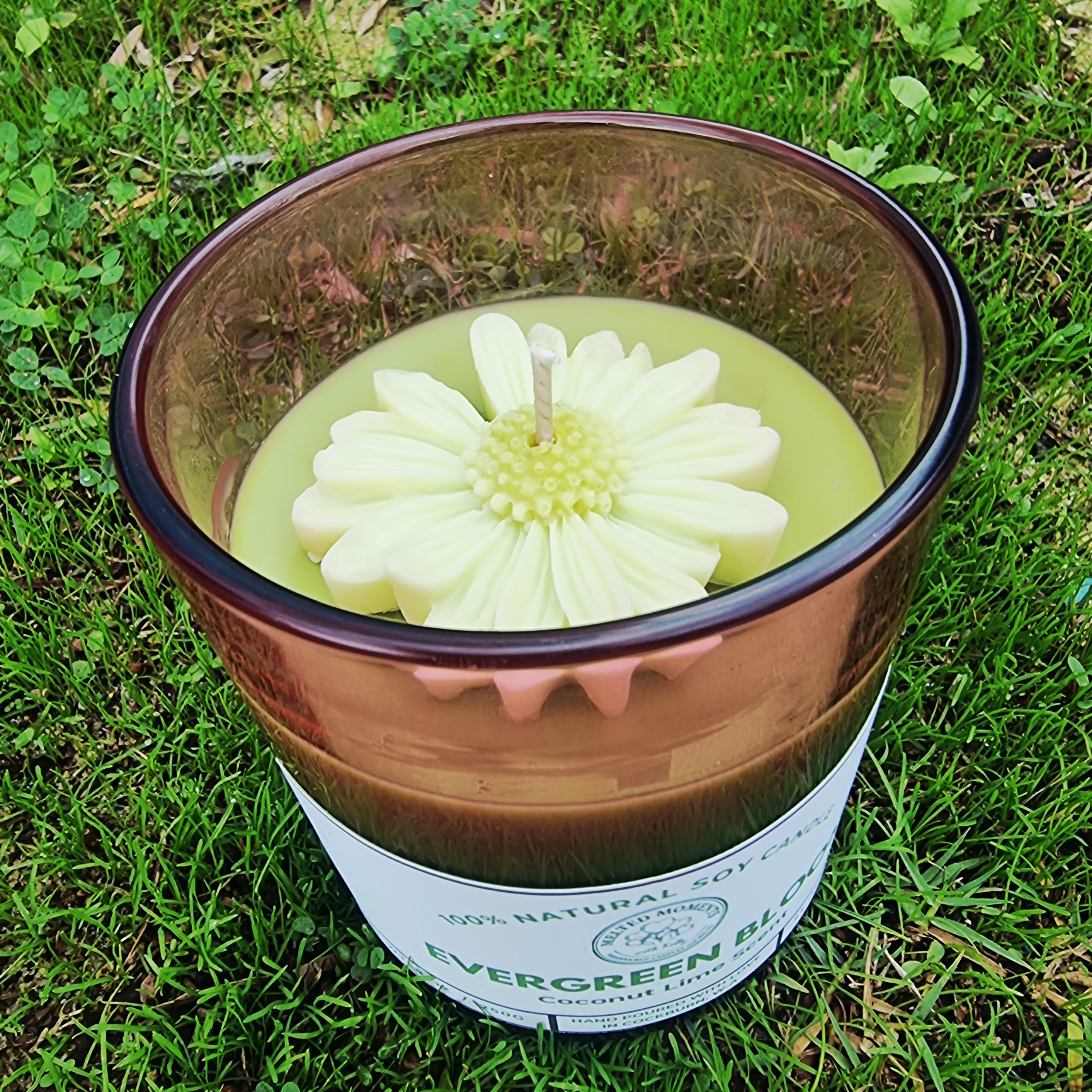 Evergreen Bloom Soy Candle